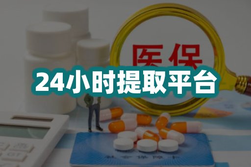 24小时提取平台